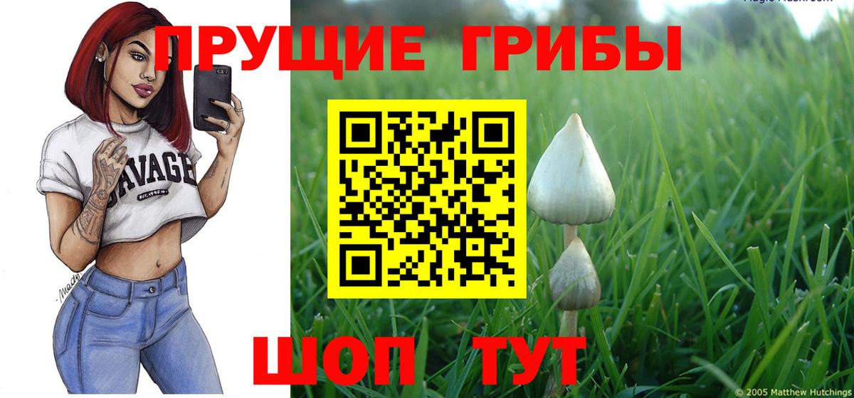 Псилоцибиновые грибы ЛСД  Галлюциногенные грибы Psilocybine cubensis  где продают   Вход с VPN  Троицк 
